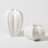 Star Fruit Vase-11372810