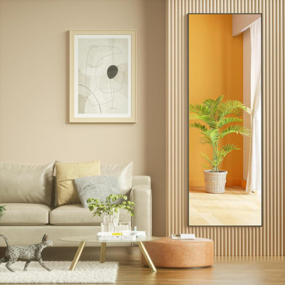 Ebern Designs Door Mirror, Full Length Over The Door Hanging Mirror