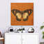 Crowle abricot papillon-111886871