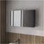 Armoire à pharmacie Mcnary avec miroirs inclus et 2 portes, noir-1488580427