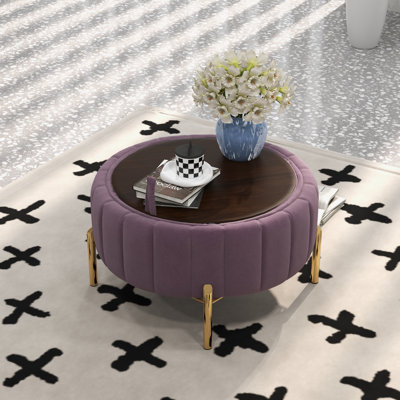 Rilee Upholstered Velvet Storage Ottoman