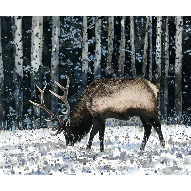 Caribou dans la forêt hivernale - Toile brune