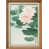 Natural Premium Frame n'est pas disponible