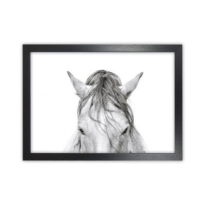 Horse II 1 Piece Wall Art