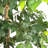 72'' Faux Ficus Tree in Pot