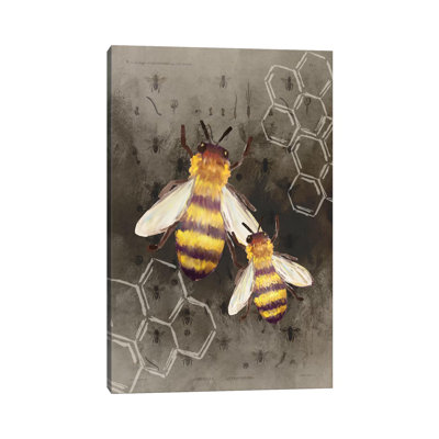 Bee Charmer II by Kimberly Allen - Print on Canvas