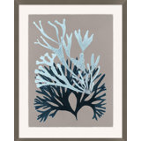 Seaweed On Taupe 6 Print by Hamptons