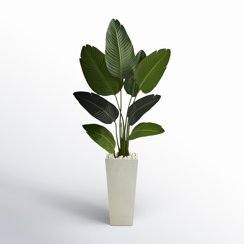 60'' Faux Palm Tree in Fiber Clay Planter