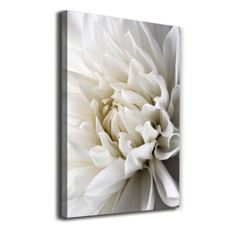 White Dahlia - Wrapped Canvas Print