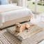 Dog Bed-1859697662-1859697635