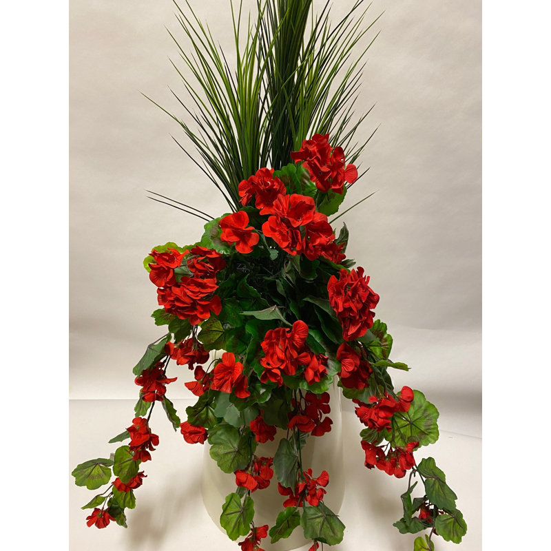 Arrangement floral en pot Dracena Gernaium