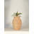 Terracotta Vase Dia 10" X 10.75"H