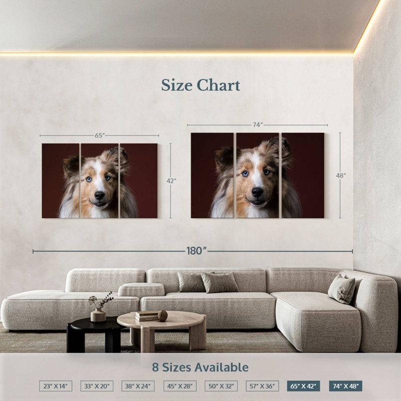 Adorable Sheltie Dog, 42" H x 65" W