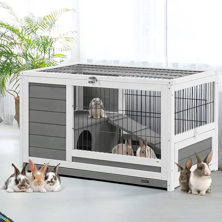 42 Portable Foldable online Dog