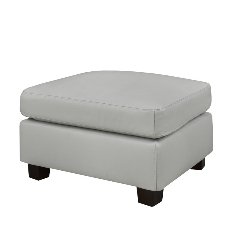 Repose-pieds en cuir véritable 29 po Davontai, Gris argenté