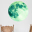 Astrology & Stars Wall Decal-27688302-38785968