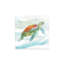 Tortue des tropiques I-72410616-72410621-105789810