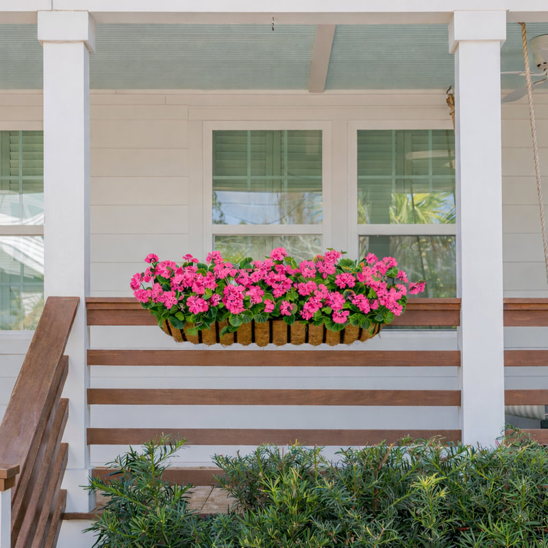Geranium Window Box Filler, Pink