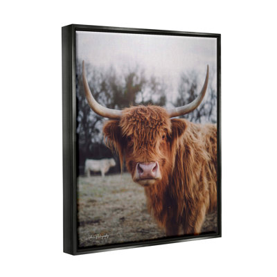 «Highland Cattle Cow Gazing Warm Sunny Portrait» par Dakota Diener - reproduction sur toile flottante
