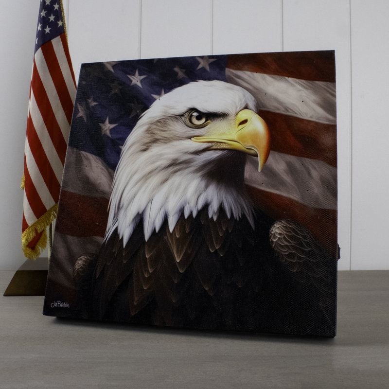 Toile avec fibre optique 10 x 10 Patriotic Pride