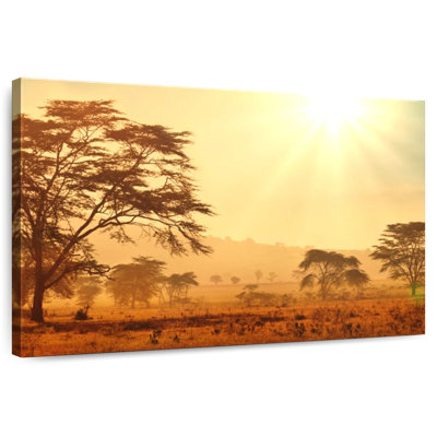 Ravi, savane africaine, lever de soleil