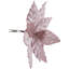 Tiges de poinsettia-88519553
