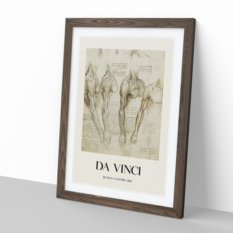 Human Anatomy Vol.8 by Leonardo Da Vinci - Picture Frame Drawing, Walnut Framed, 36cm H x 27cm W x 2cm D
