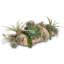 Faux Succulent Plant in Wood Pot