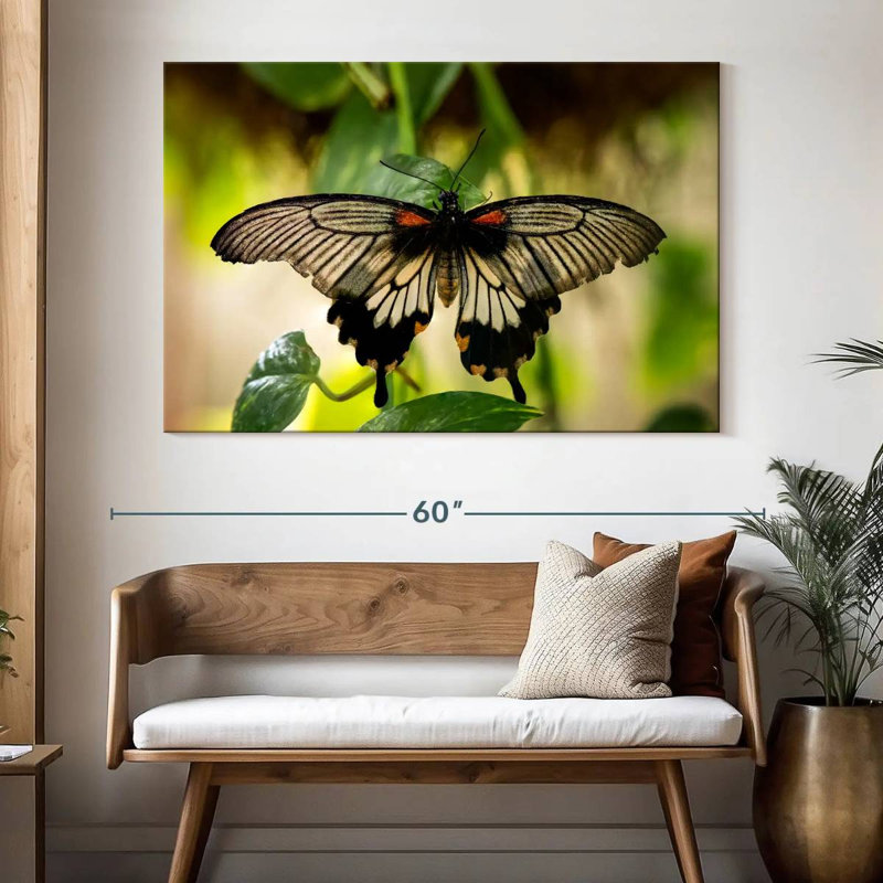 Monarch Butterfly, 34" H x 51" W