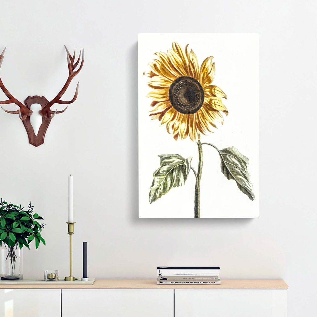 A Sunflower by Johan Teyler - Wrapped Canvas