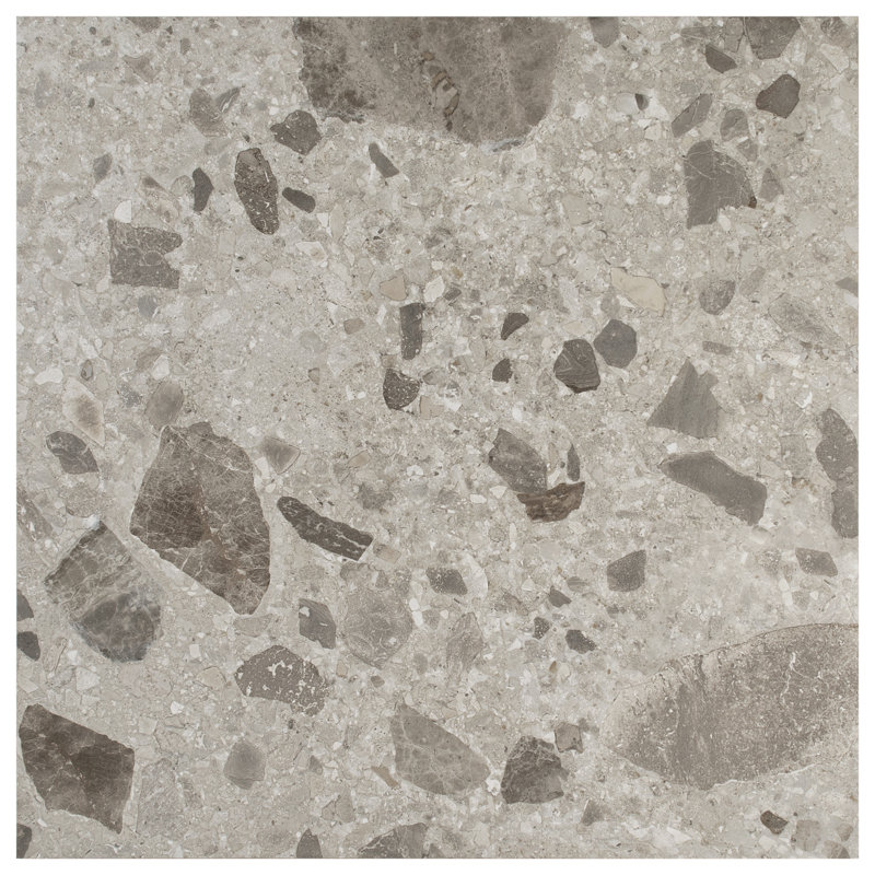 Rizo 24x24 Matte Terrazzo Look Porcelain Tile, Pavement
