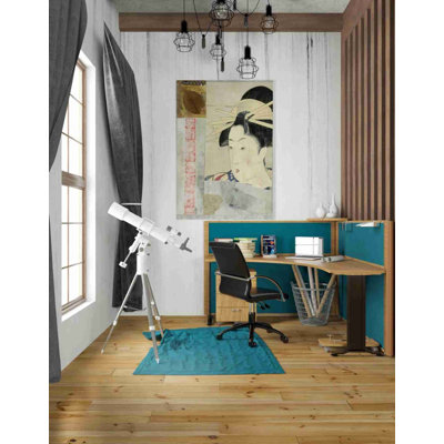 'Geisha' by Elena Ray Canvas Wall Art