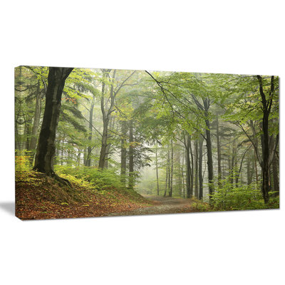 " Green Beach Forest Pathway "