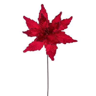 Tiges de poinsettia Cliffo