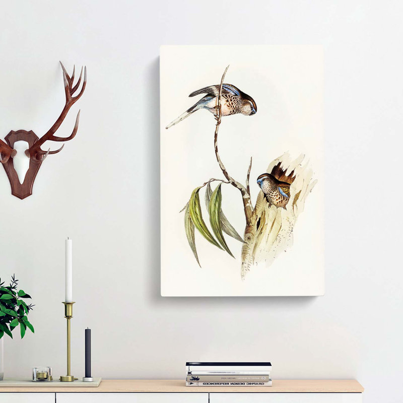 Boukes Grass-Parakeets by Elizabeth Gould - Wrapped Canvas, 60cm H x 40cm W x 3cm D