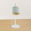 Addilyn Metal Desk Lamp-20785828