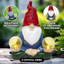 Statue solaire d'extérieur 10 "Gnome