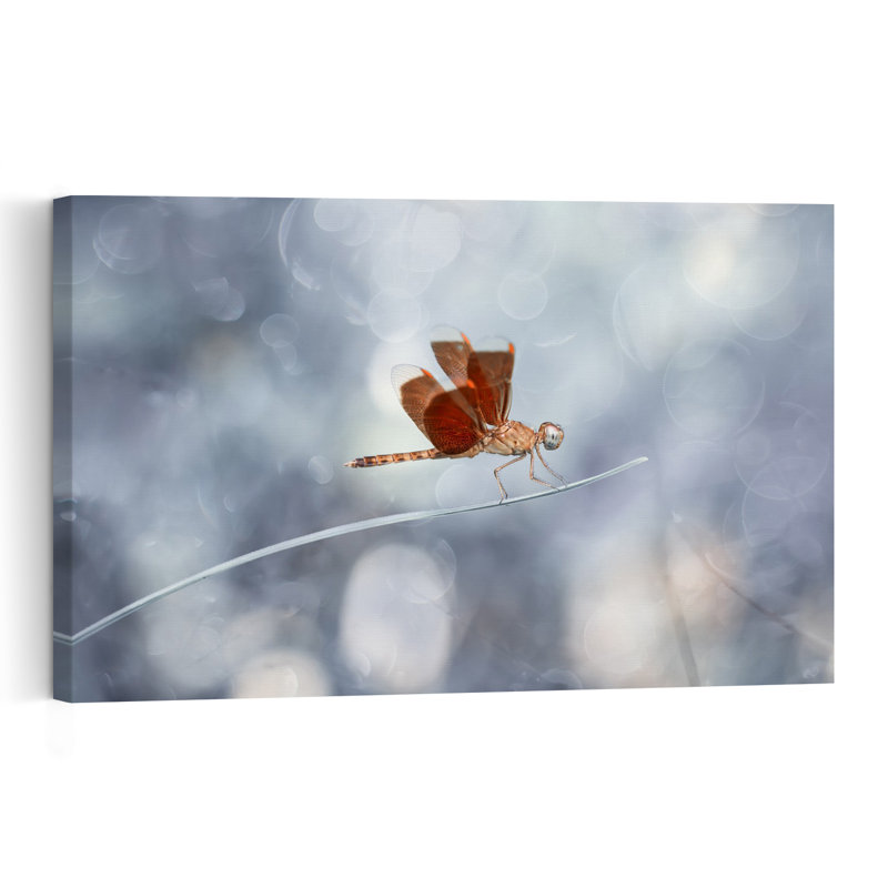 Red Dragonfly Bokeh Delicate Elegant Peaceful Dragonfly Nature Summer Wall Art Print by Abdul Gapur Dayak - Print
