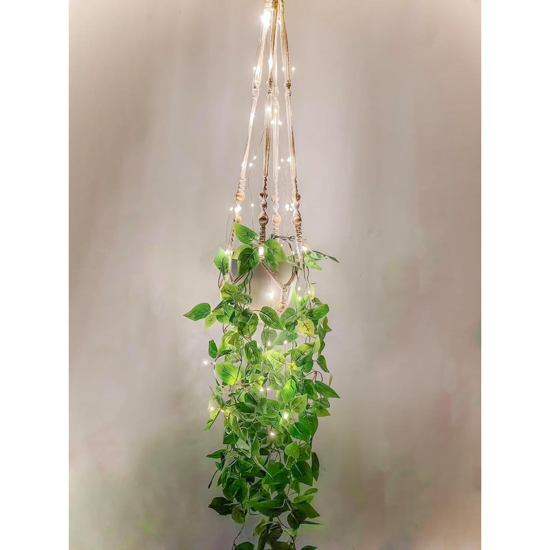 Plantes suspendues suspendues avec lumières
