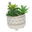 Plante molle artificielle en pot-35758084-35758080