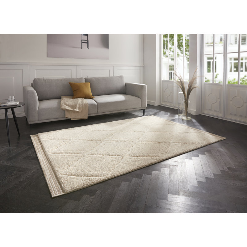Colin Beige Rug, Rectangle 120 x 170cm