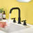 Widespread 2-handle Bathroom Faucet-60151354