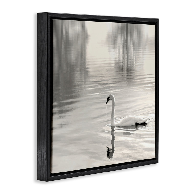 Cadre flottant Morning Sunlit Swan, design par Nicholas Bell, H 18 po x l 18 po, Cadre flottant noir de jais