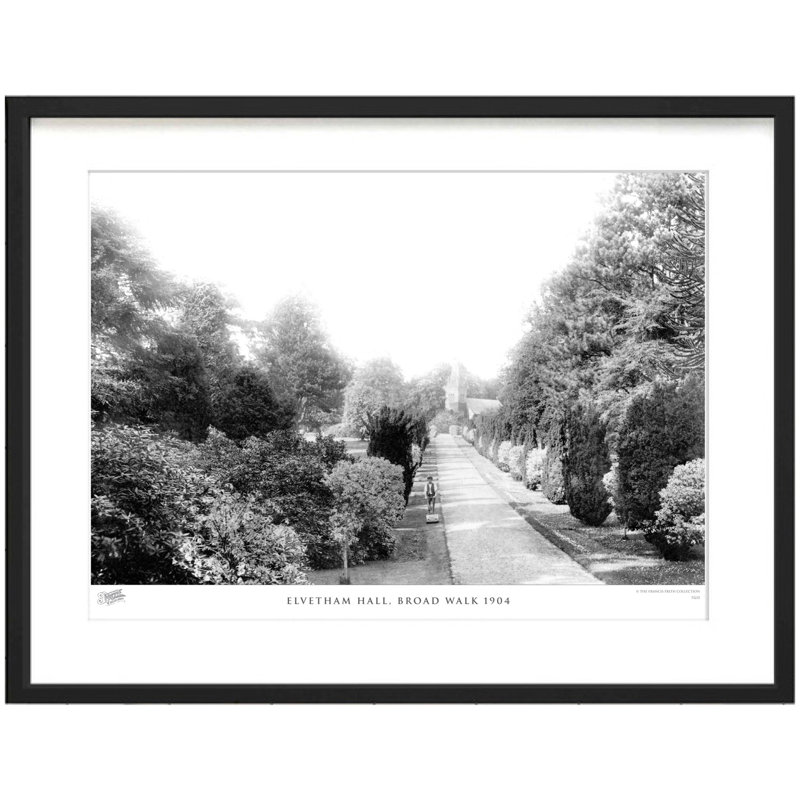 Elvetham Hall, Broad Walk 1904 by Francis Frith - Single Picture Frame Print, 60cm H x 80cm W x 2.3cm D