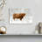 Brampt Winter Highland Cow-108906085