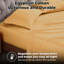 Ensemble de draps 300 po-1620519236-1620519245