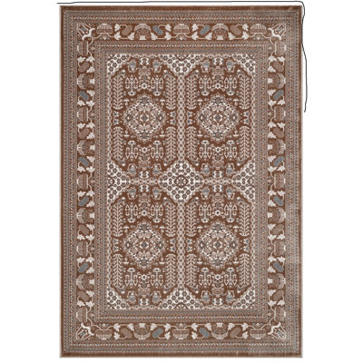 Area Rug