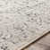 Oriental Indoor Rug