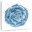 Midnight Succulent II-109221192