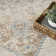Haydel Machine Washable Area Rug in Ivory
